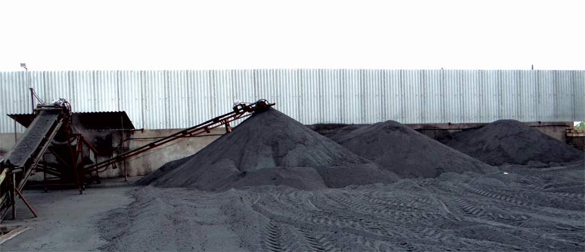 Pet coke india