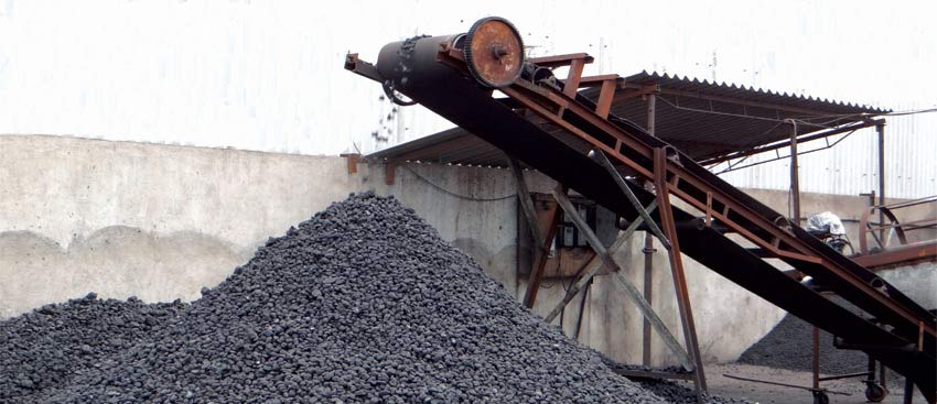 Lifting Conveyor Manufacturing Petcoke